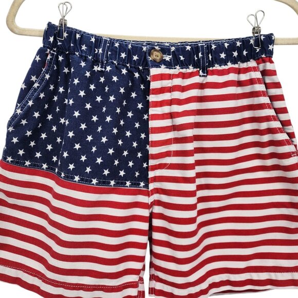 Chubbies Mens Medium Shorts 'Mericas American Flag Red White Blue Shorts USA - Picture 2 of 9
